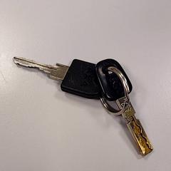 열쇠, iLost를 사용하여 Vrije Universiteit Amsterdam에 보고됨