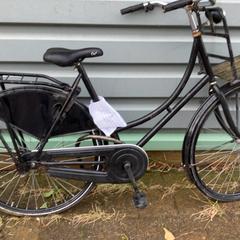 Dámské kolo, jak nahlášeno Gemeente Oirschot pomocí iLost