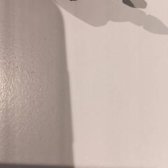 Buggy toebehoren, ha sido reportado por De Efteling con iLost