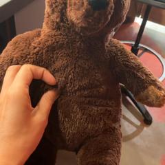 Orsetto coccoloso peluche, come riportato da MEININGER Hotel Bordeaux Gare Saint-Jean utilizzando iLost