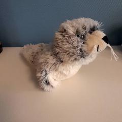 Knuffel, as reported by Dolfinarium using iLost