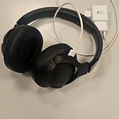 Fejhallgató Zwart, amint azt Vrije Universiteit Amsterdam az iLost segítségével jelentette.