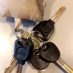 Keychain, as reported by Arriva Limburg Noord using iLost