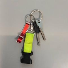 Claus, segons ha informat Vrije Universiteit Brussel (VUB) mitjançant iLost