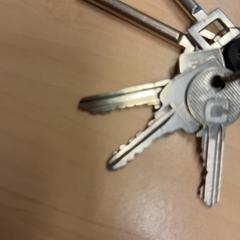 İLost kullanarak RET tarafından bildirildiği gibi Anahtarlar