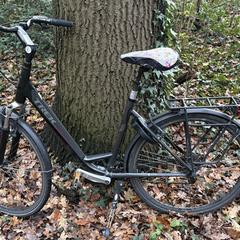 Fiets, som rapportert til iLost