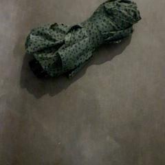 Paraigües, segons ha informat Transdev Hoeksche Waard Goeree Overflakkee mitjançant iLost