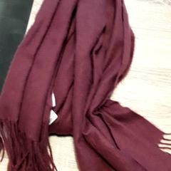 숄, iLost를 사용하여 EBS Tramplein에 보고됨