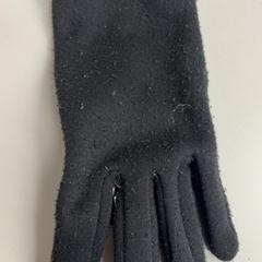 Kesztyű Zwart, amint azt Burgers' Zoo az iLost segítségével jelentette.