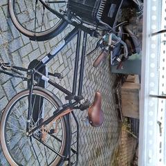 Bicicleta masculina, segundo informou Gemeente Roermond usando iLost