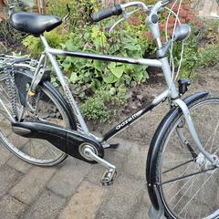 Herenfiets gazelle, som rapporterats till iLost