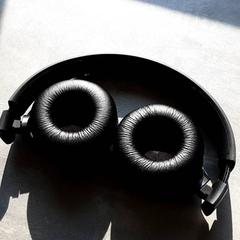 Auriculares Zwart, segundo informou Arriva Friesland / Groningen usando iLost