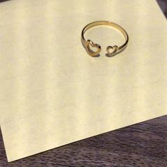 Ring Goud en hartjes, gemeldet von Van der Valk Hotel Zwolle über iLost