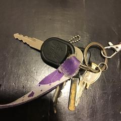 İLost kullanarak U-OV Utrecht tarafından bildirildiği gibi Anahtar