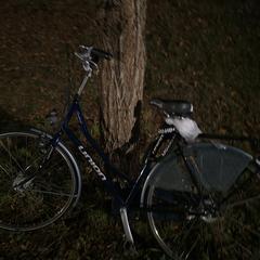 Fiets, come riportato a iLost