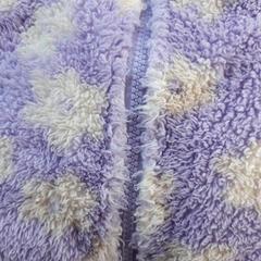 Vest Paars, som rapportert av DierenPark Amersfoort ved bruk av iLost