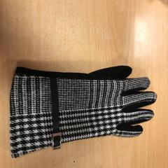 Handschoen, come riportato da Pathé Buitenhof utilizzando iLost