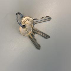 Sleutels がiLostで Gemeente Wijk bij Duurstede によって報告されました