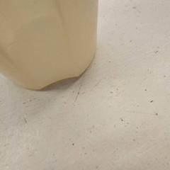 カップ がiLostで GVB によって報告されました