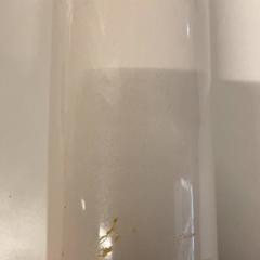 İLost kullanarak IKEA長久手 tarafından bildirildiği gibi Içki şişesi