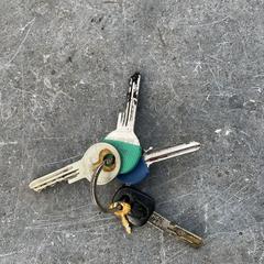 Sleutelbos, ha sido reportado a iLost