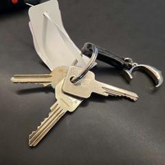 Chaveiro, segundo informou Stad Hasselt usando iLost