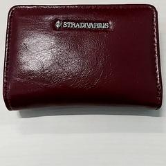 Carteira Iddrisu, segundo informou Arriva Limburg Zuid usando iLost