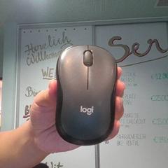 Mouse Black and grey, as reported by MEININGER Hotel Vienna Downtown Sissi using iLost
