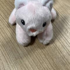Xoguete de peluche kat, segundo informou Pathé Zwolle usando iLost