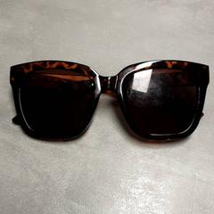 Slnečné okuliare Bruin, ako bolo nahlásené Arriva Friesland / Groningen pomocou iLost