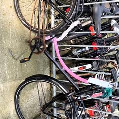 Zwarte opoefiets, ha sido reportado por Stadswerk072 con iLost