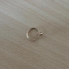 Bague, a été signalé par Schönbrunn "Group Center" utilisant iLost