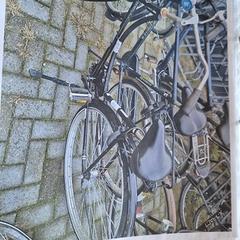 Women’s bike, as reported by Gemeente Roermond using iLost