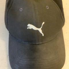 كاسكيت Zwarte Puma pet، كما تم الإبلاغ عنه بواسطة Artis عبر iLost
