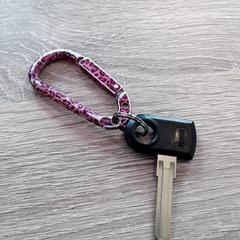 Key, as reported by EBS Tramplein using iLost