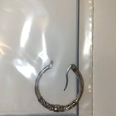 Ørering, som rapportert av Ziekenhuis Oost-Limburg ved bruk av iLost