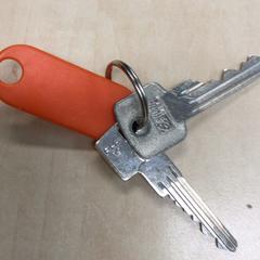 Klucz, zgłoszono przez Haaglanden Medisch Centrum przy użyciu iLost