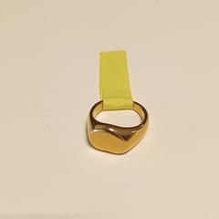 Ring, gemeldet von Breda University of Applied Sciences Mgr. Hopmansstraat über iLost