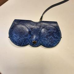 İLost kullanarak Arriva Zuid Holland Noord tarafından bildirildiği gibi bril etui