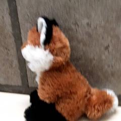 كنوفل، كما تم الإبلاغ عنه بواسطة Arriva Oost-Brabant عبر iLost