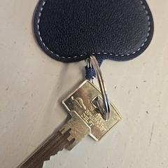 Llave, ha sido reportado por HTM con iLost