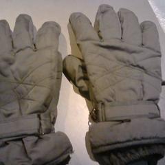 Rukavice, jak nahlášeno SnowWorld Landgraaf pomocí iLost