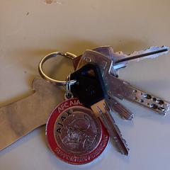 Sleutelbos, as reported to iLost