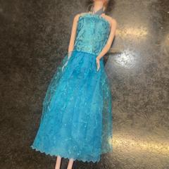 Elsa, a été signalé par Rotterdam The Hague Airport utilisant iLost