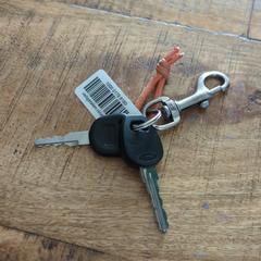 Sleutelbos, iLost-i jakinarazi zaion moduan