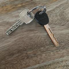 Sleutelbos, jak bylo nahlášeno na iLost