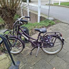 Paarse meisjes fiets, ako bolo nahlásené iLost