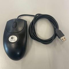 ねずみ met kabel がiLostで Heidelberglaan 15 によって報告されました