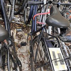 Fiets altec blauw an iLost gemeldet