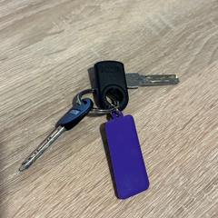 Chaves, segundo informou Gemeente Duiven usando iLost